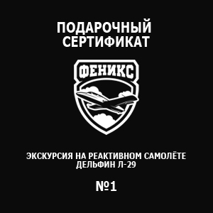 Цены полет на истребителе