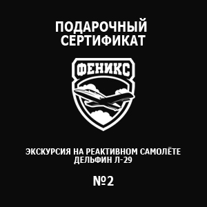 Цены полеты на истребителе